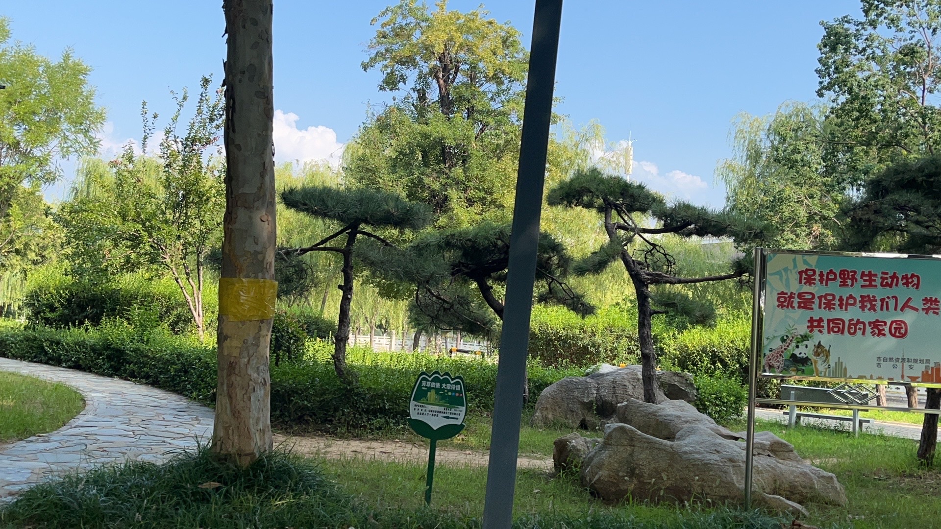 朱雀山公园旅行图片
