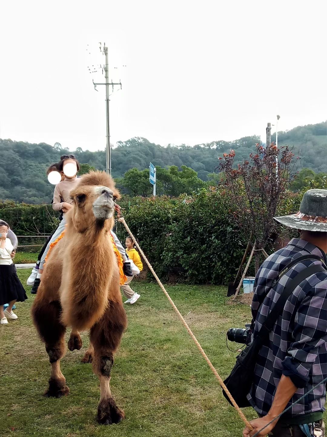 舟山市群岛新区百鸟园旅游景区