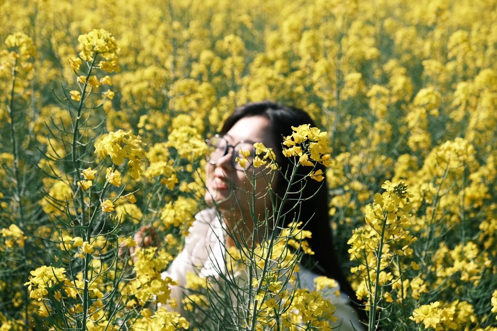 铜鉴湖花海