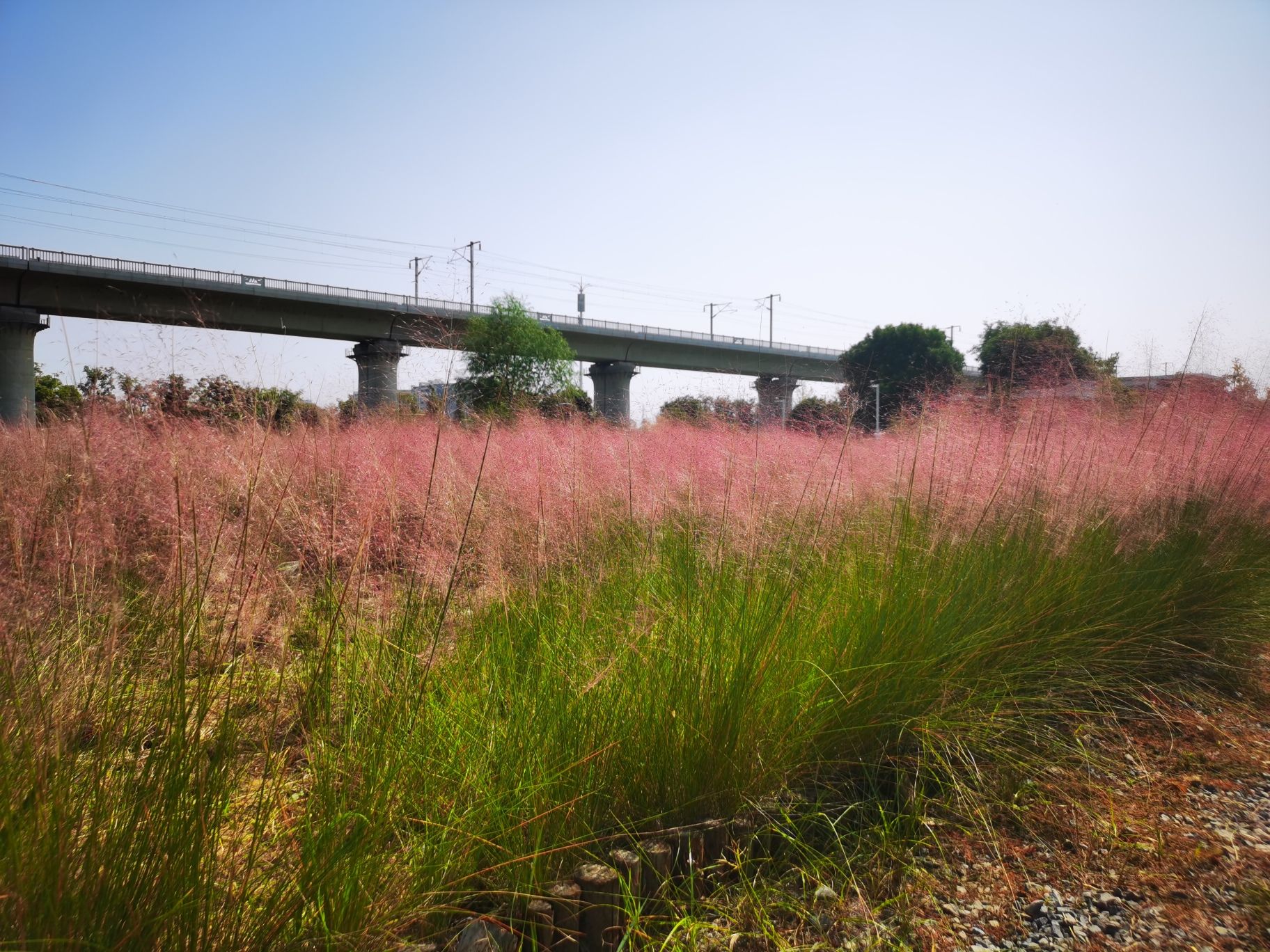 廖家沟公园-彩虹滑道