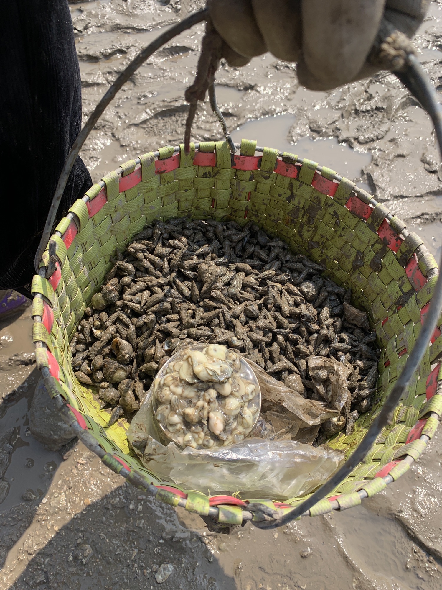 霞浦牛屿滩涂赶海体验中心