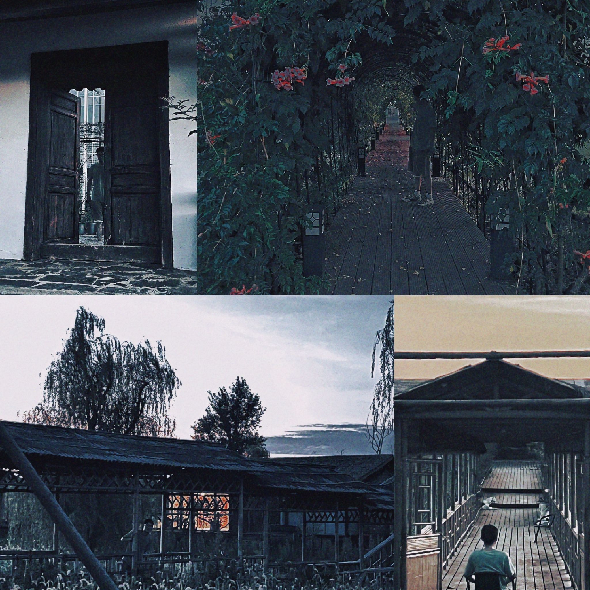 溧水仟陌花开综合景区