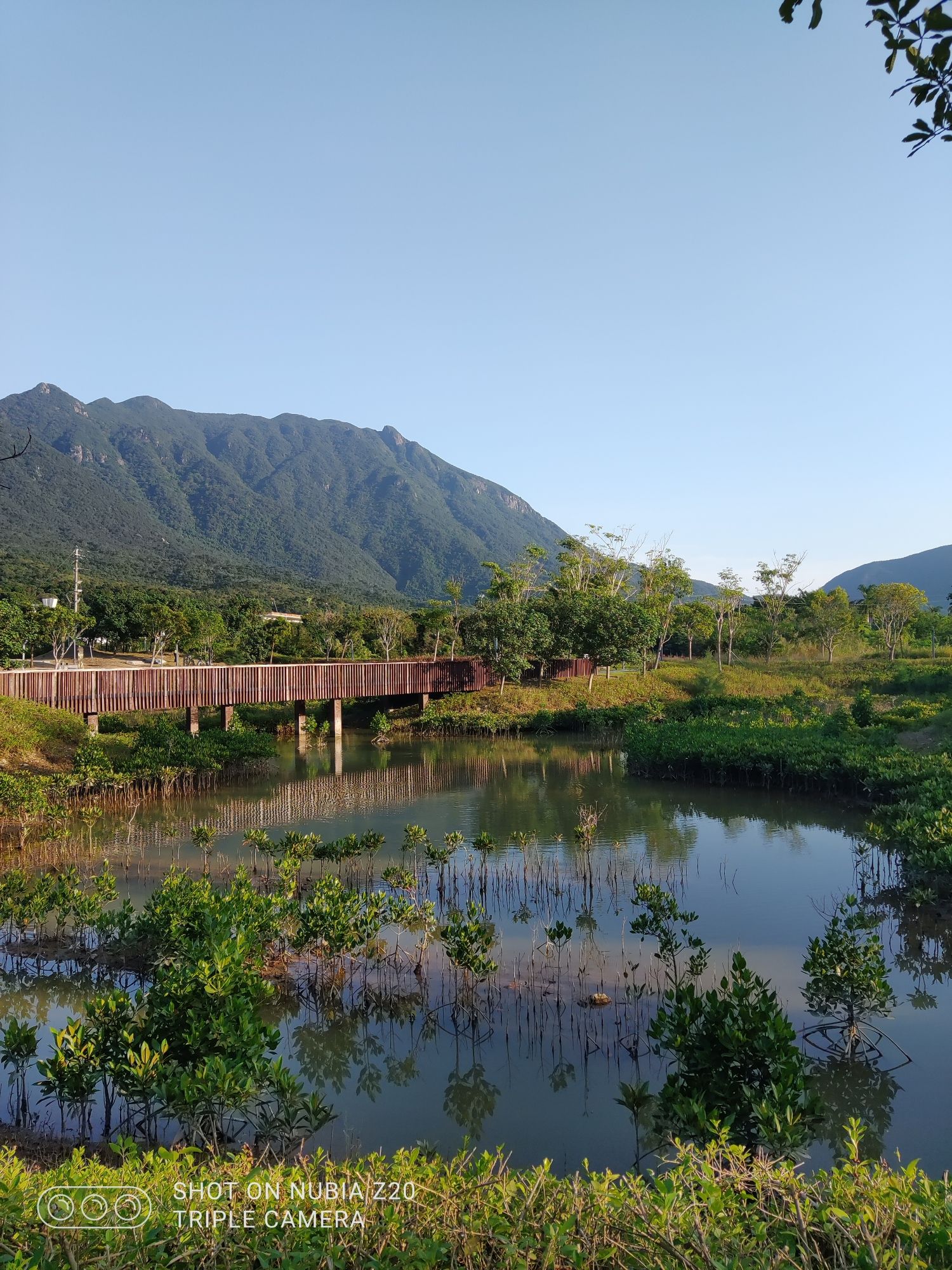 禾塘湿地
