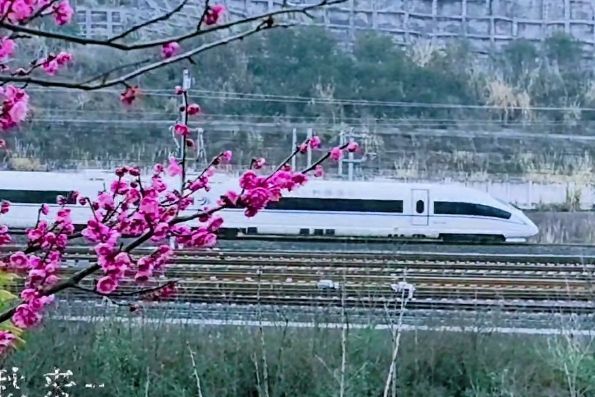 梅岭公园旅行图片