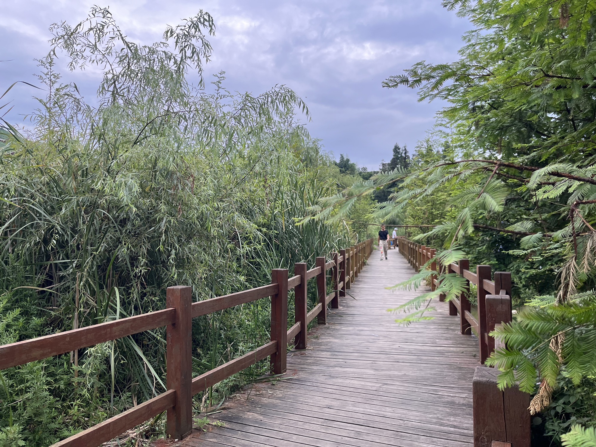 梓林山水生态农庄