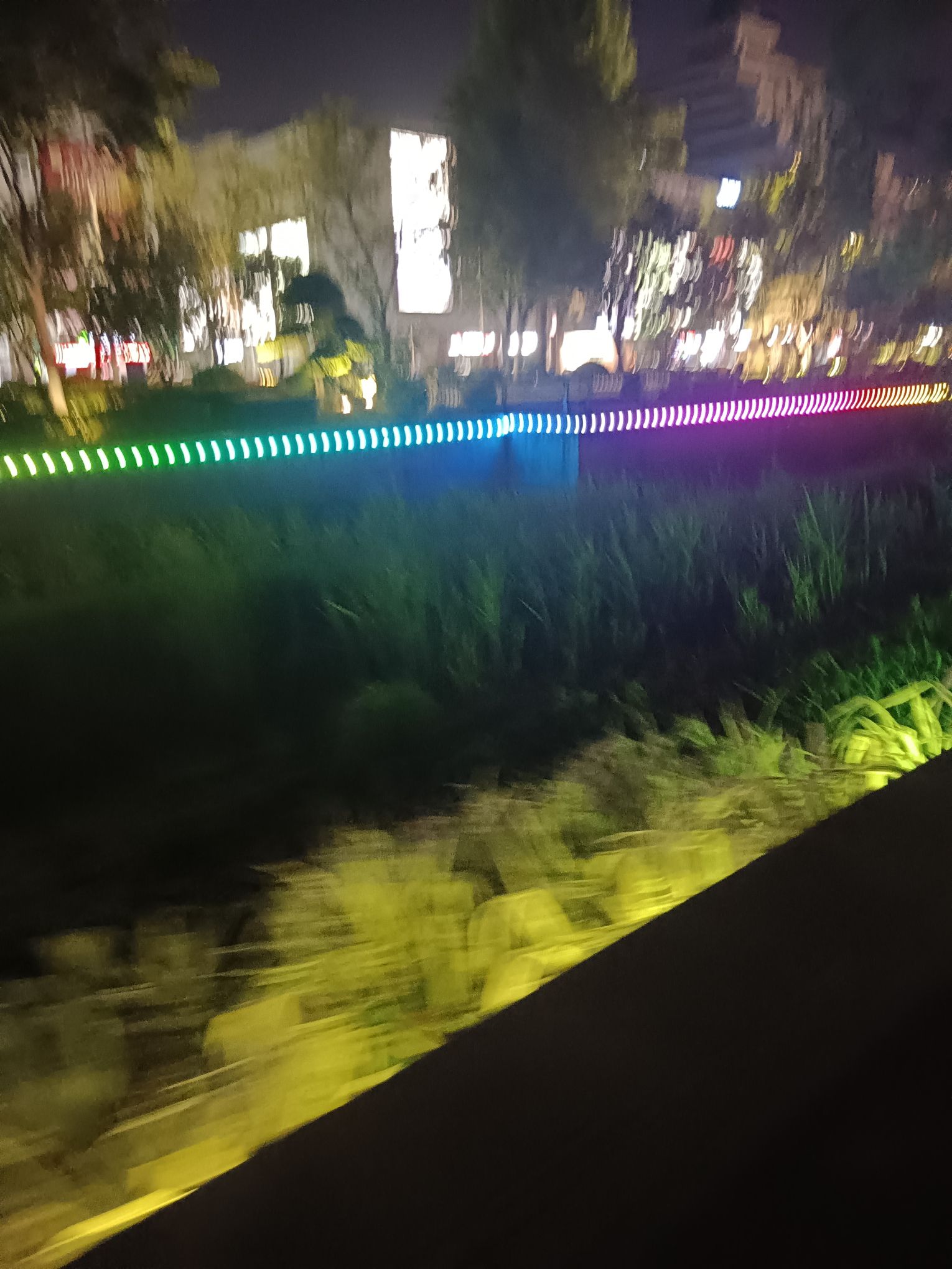 猪龙河生态公园