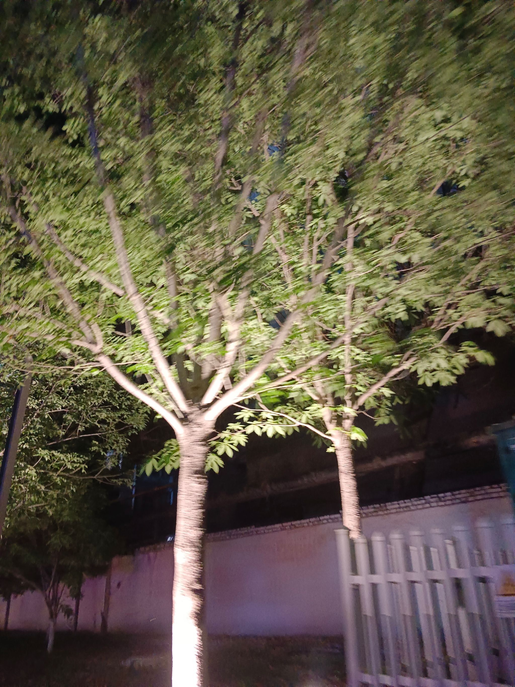 猪龙河生态公园旅行图片