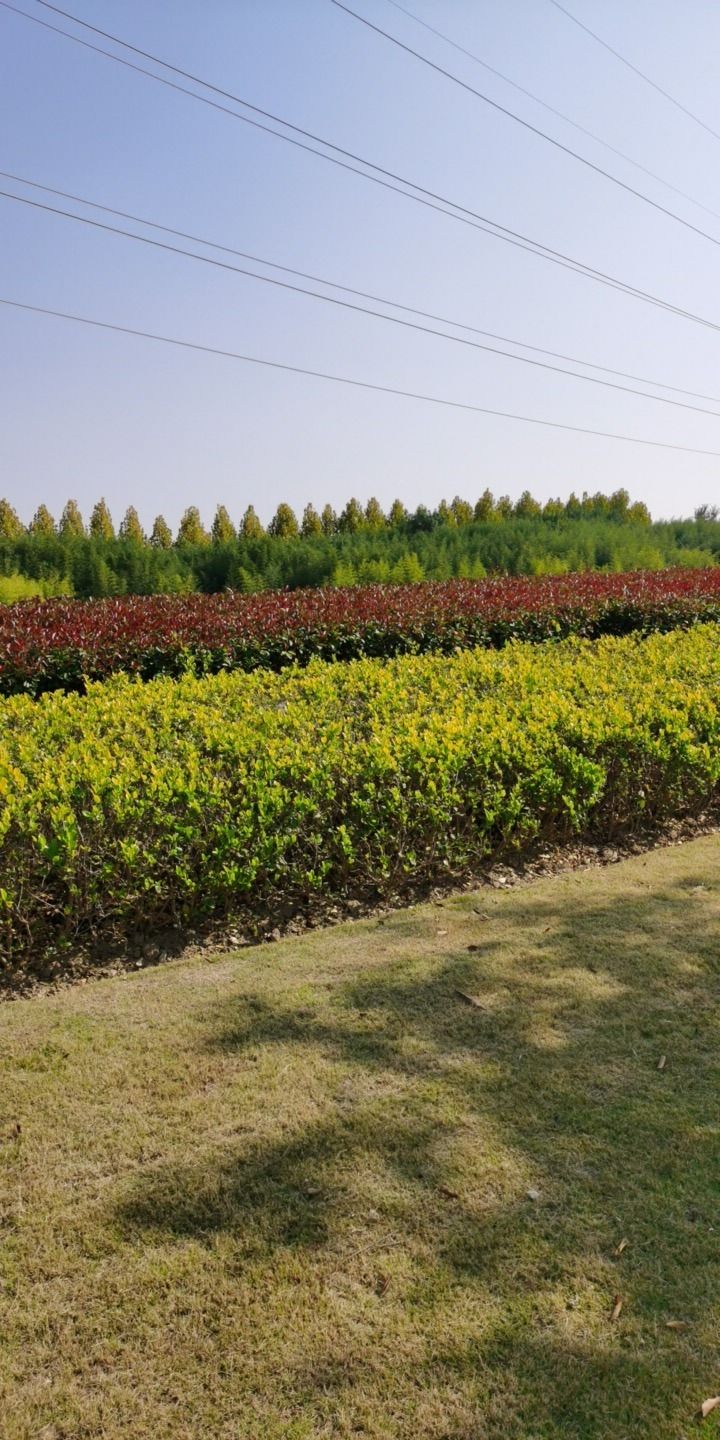 古运河遗址公园