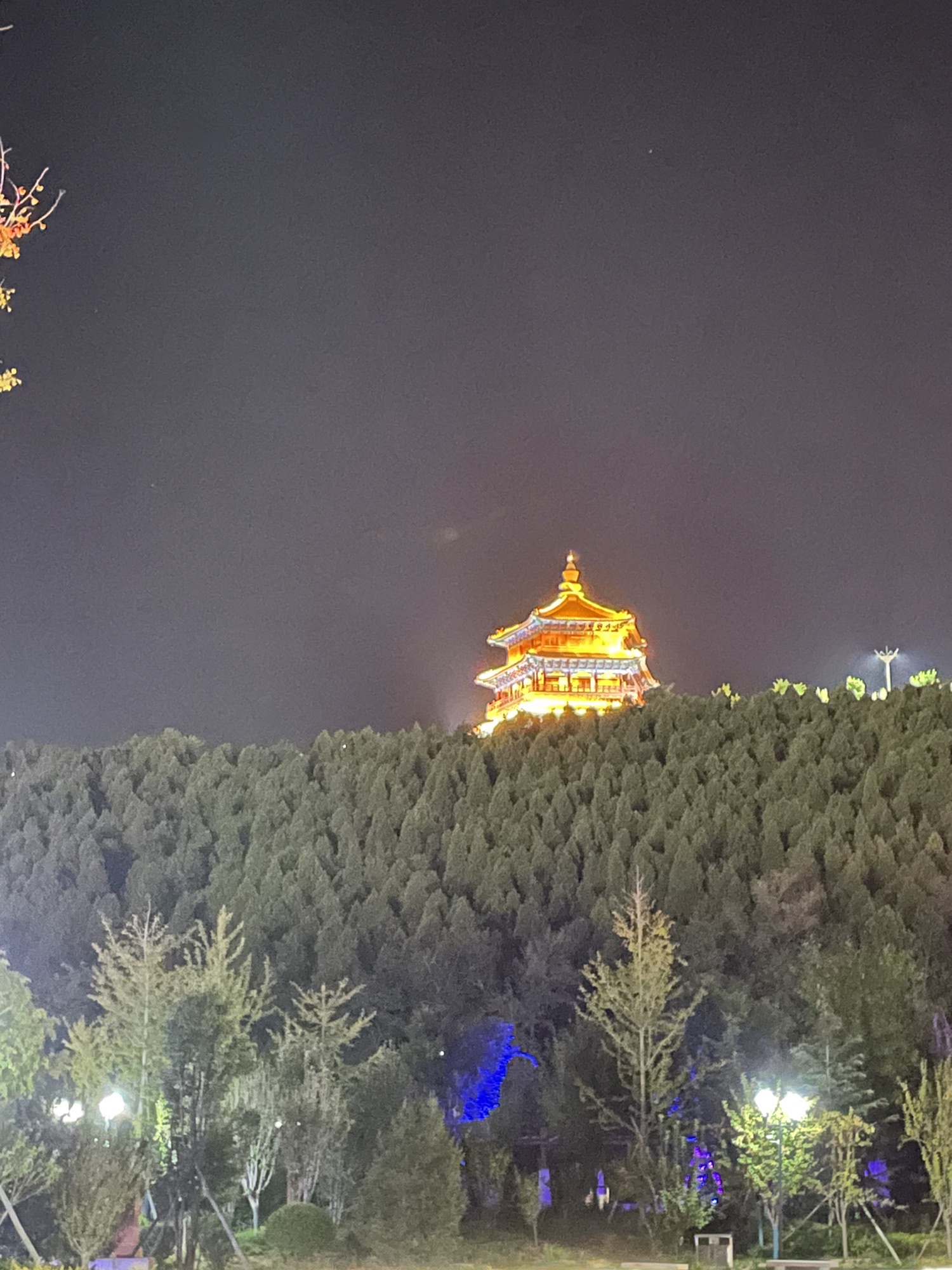 青年山公园旅行图片