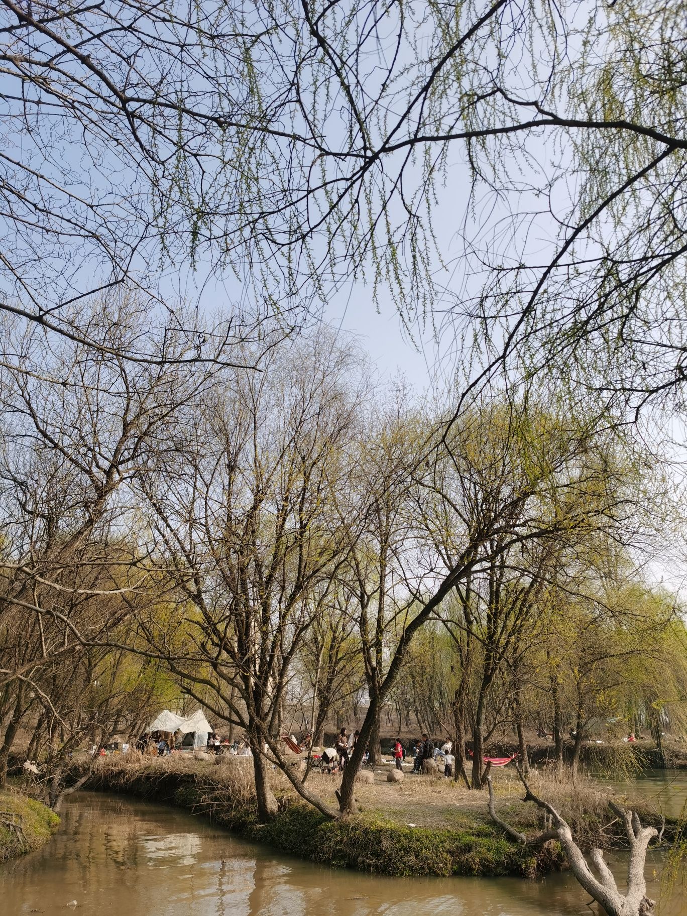 诗意林湿地公园
