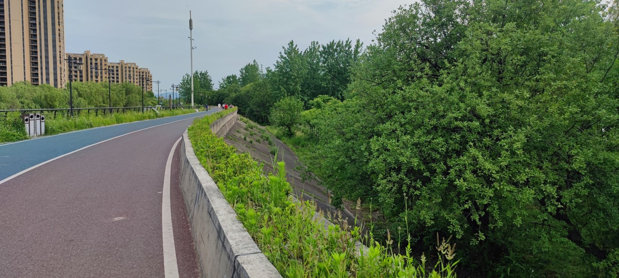 诗意林湿地公园旅行图片