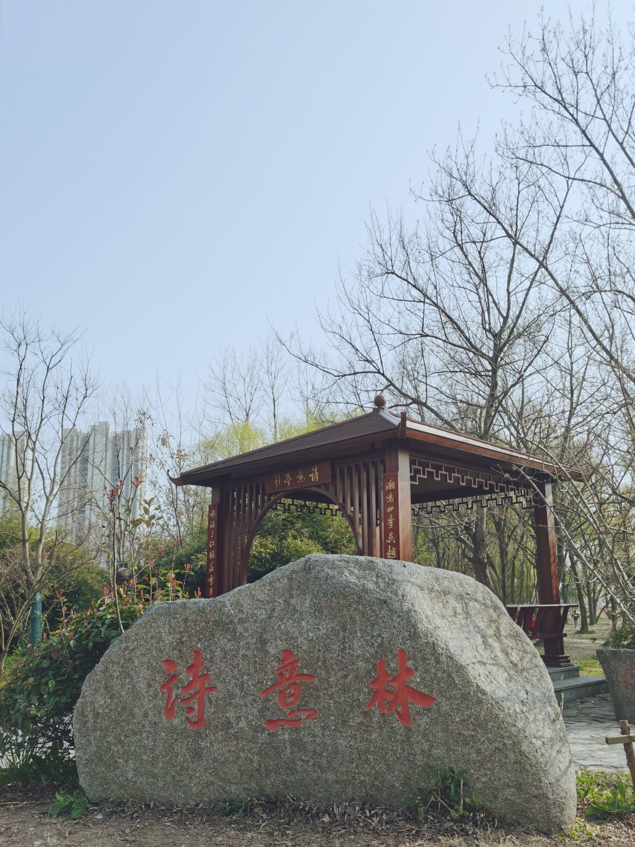 诗意林湿地公园旅行图片