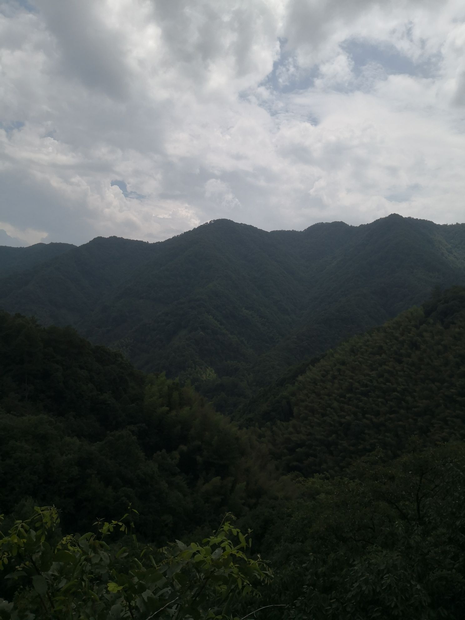 云烟山野观景台