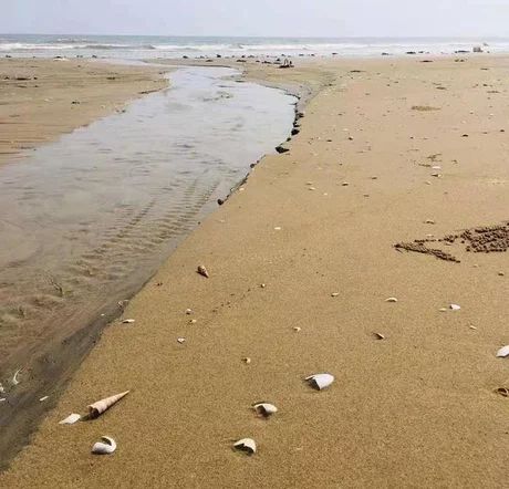 吴阳金海岸沙滩