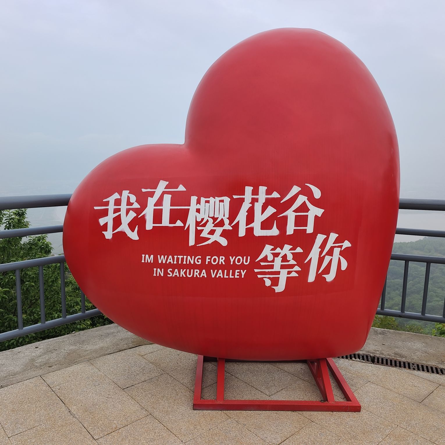 瑞安市桐浦凤凰樱花谷