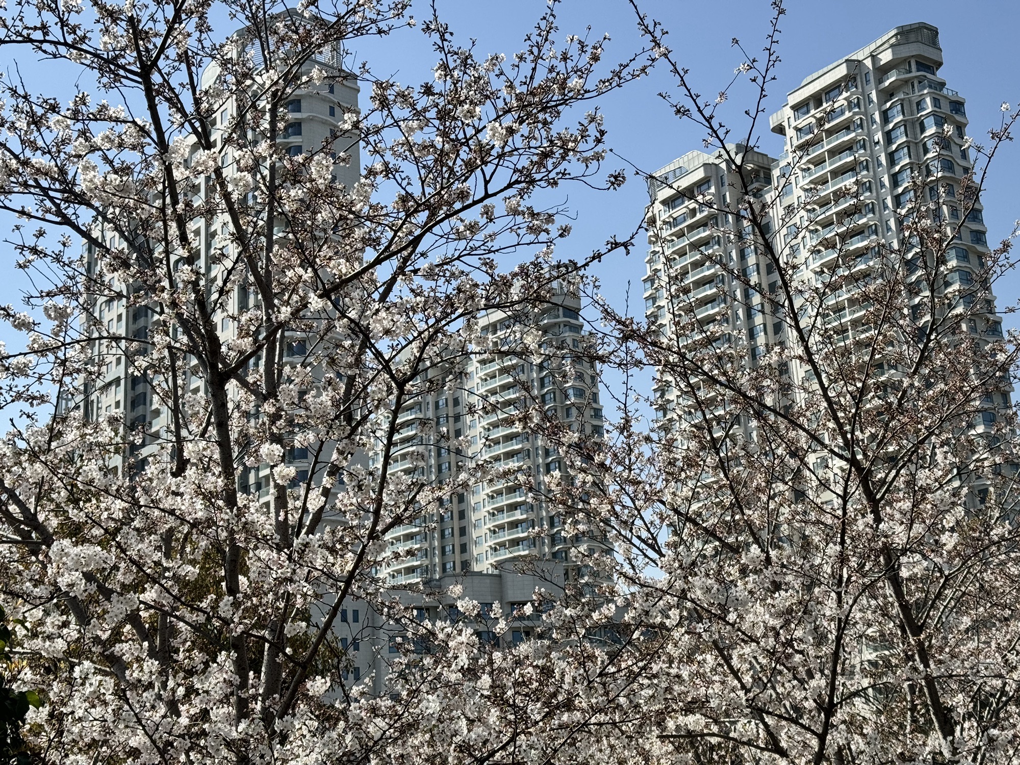 上海长滩坡地公园