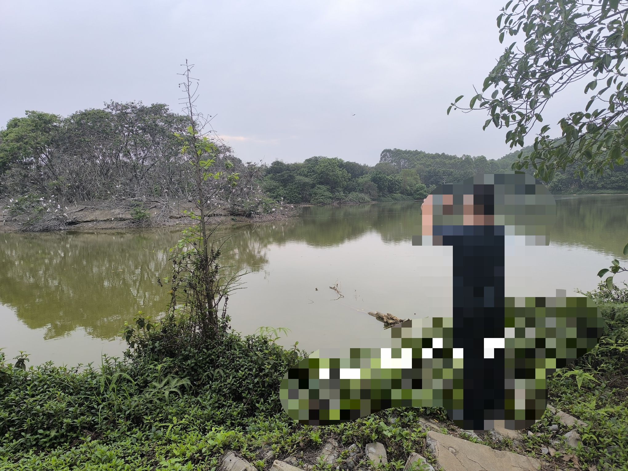 更合镇(肥仔列)体育公园