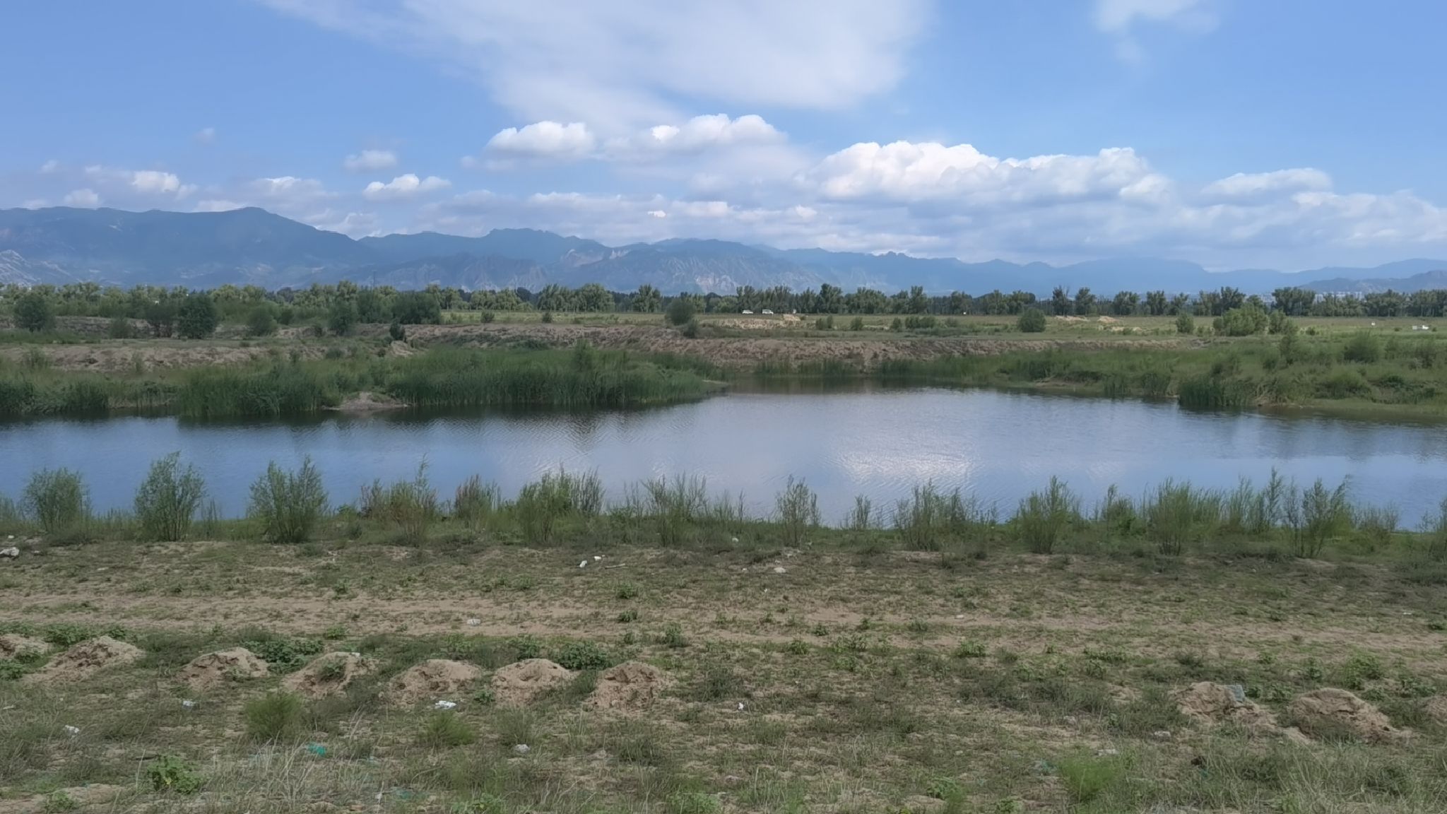 三河湿地公园旅行图片