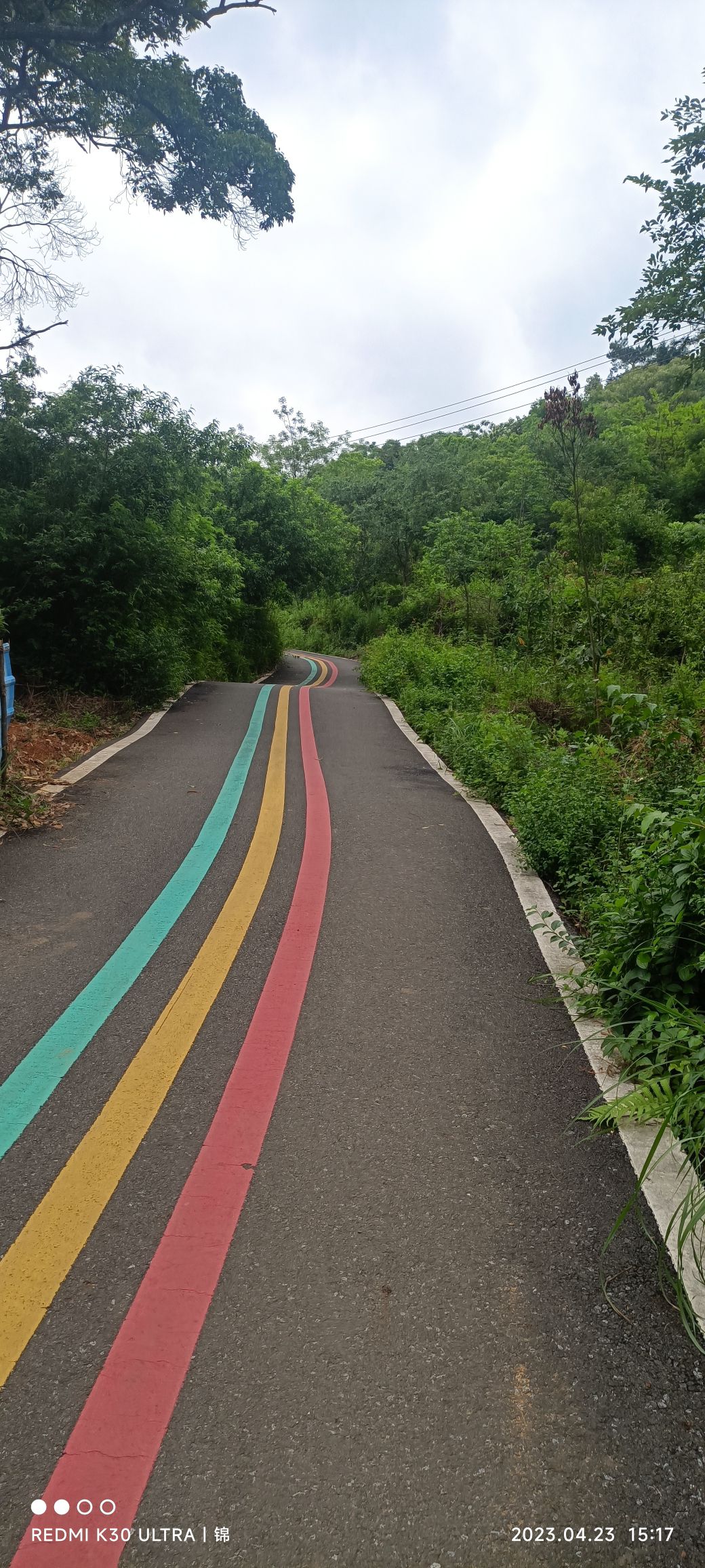 九龙山公园旅行图片