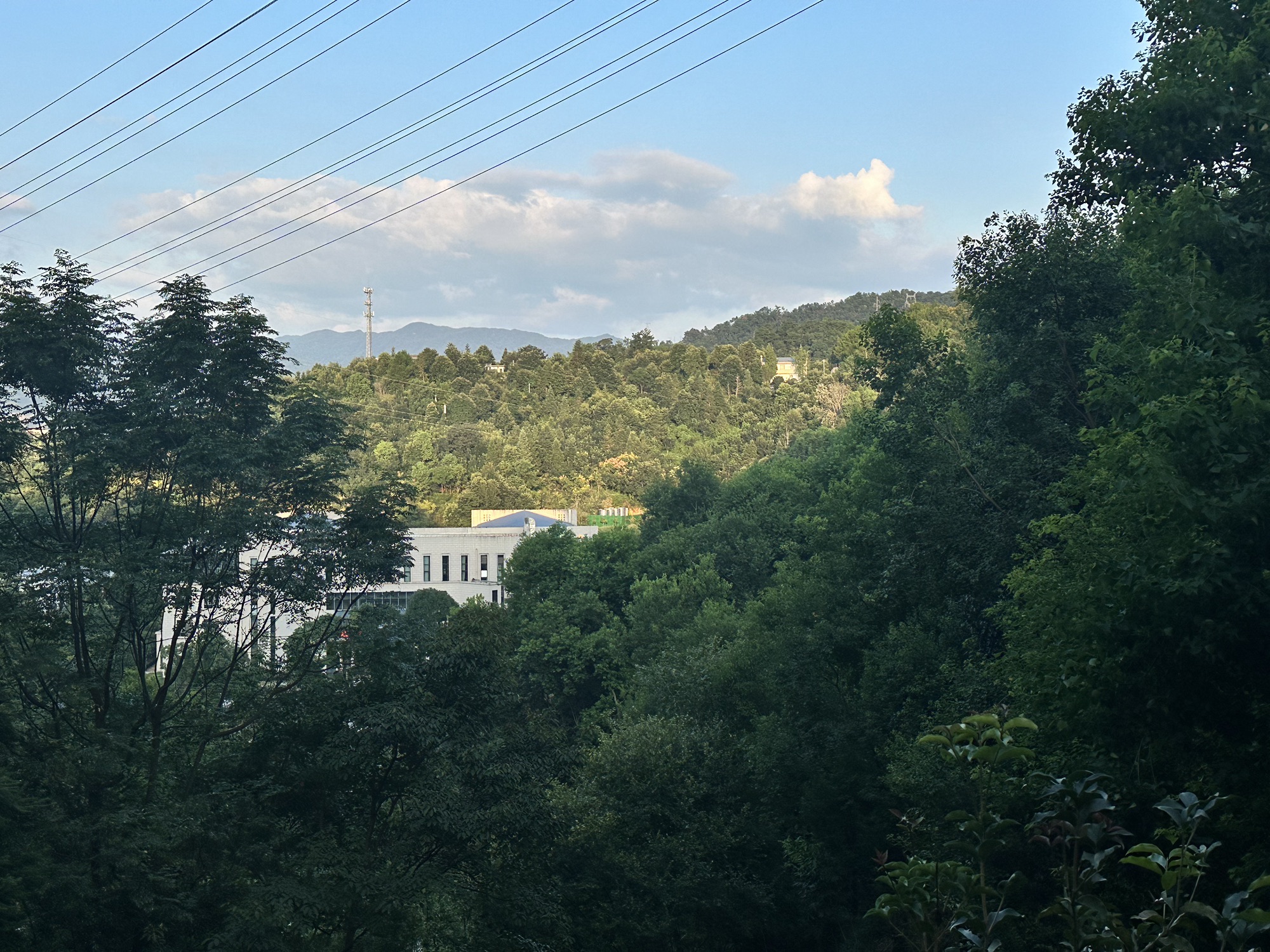 九龙山公园旅行图片