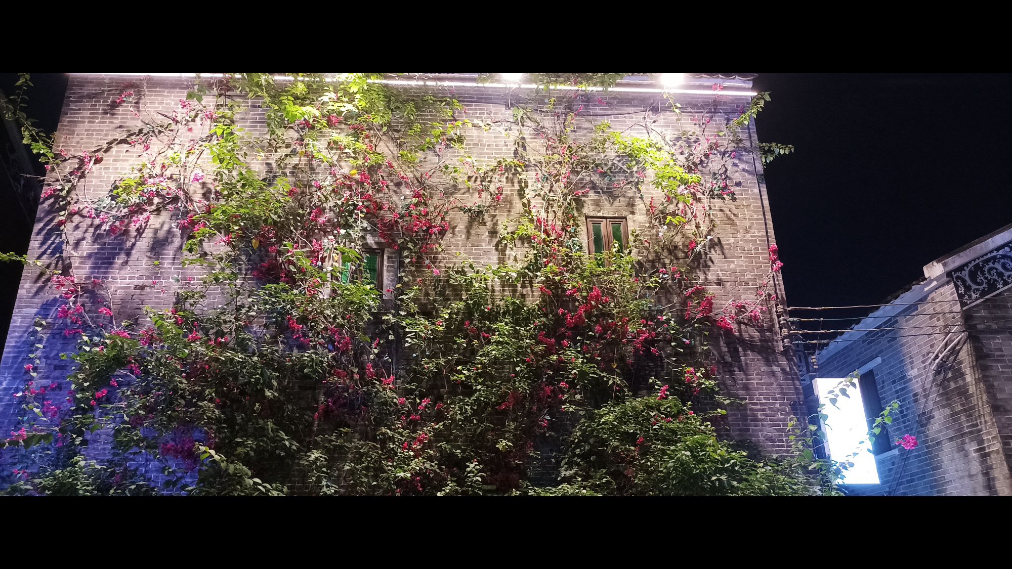 启明里广场旅行图片