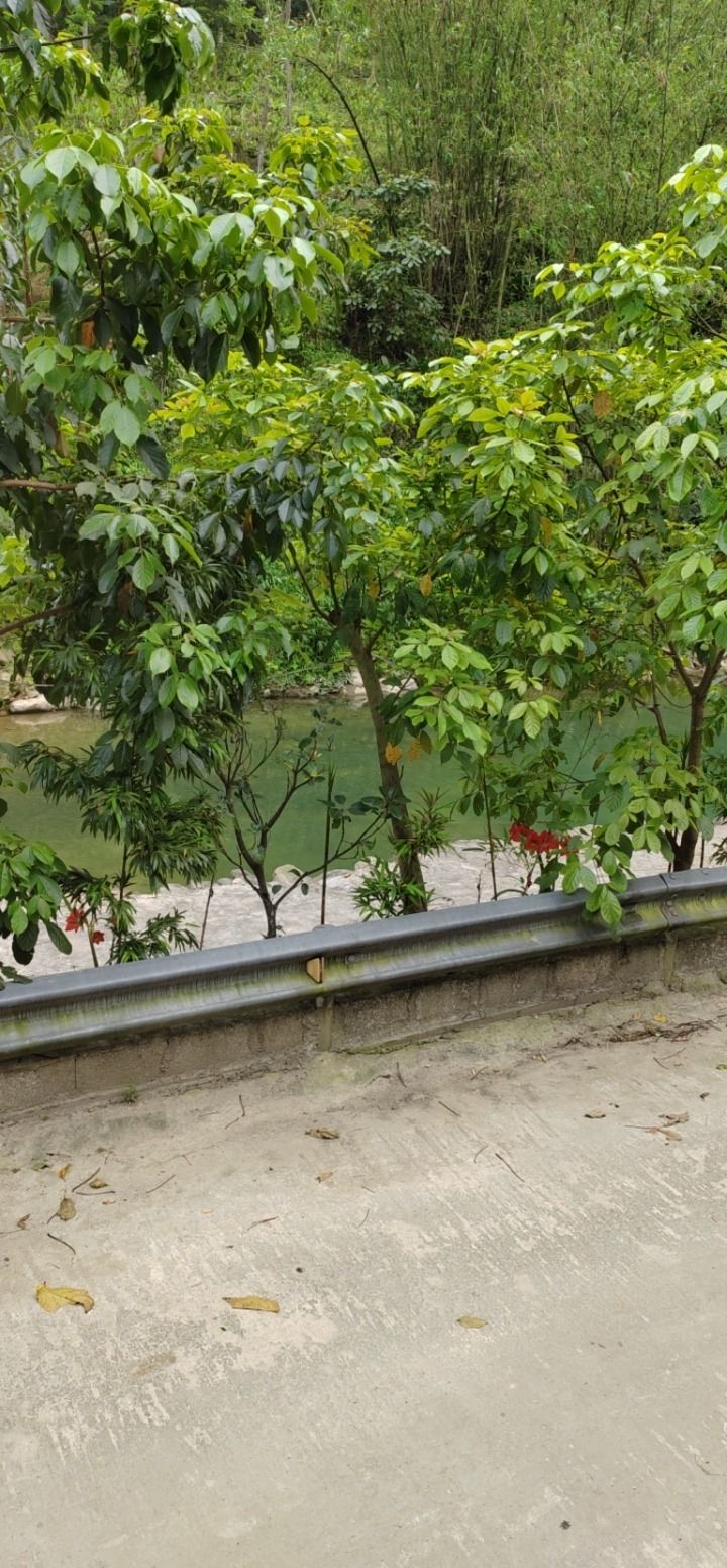 大明山-河边庄景区