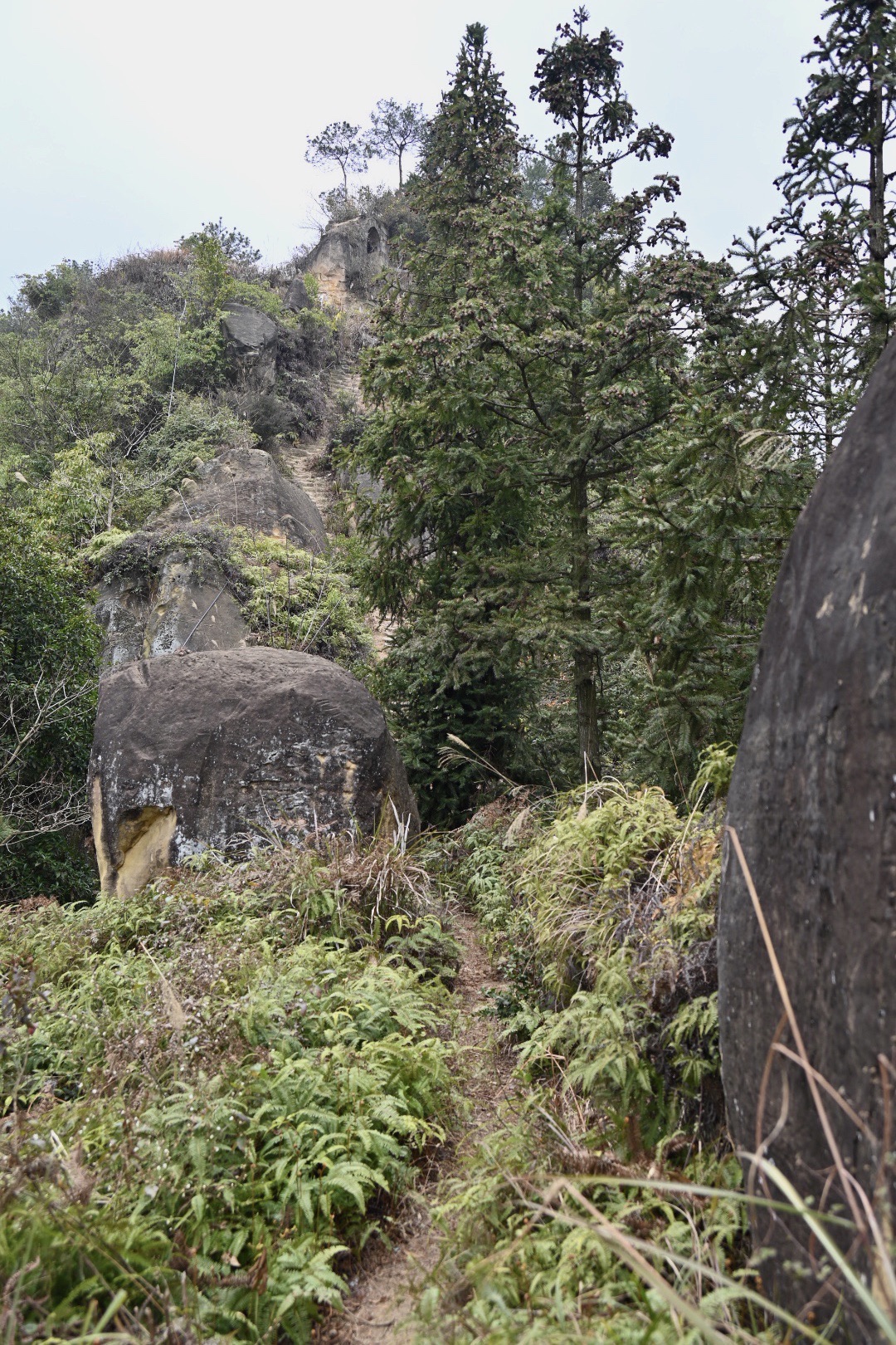 骑龙坳景区旅行图片