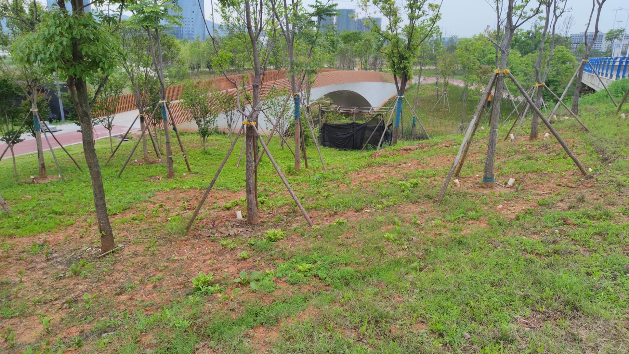 株洲市清水塘城市公园