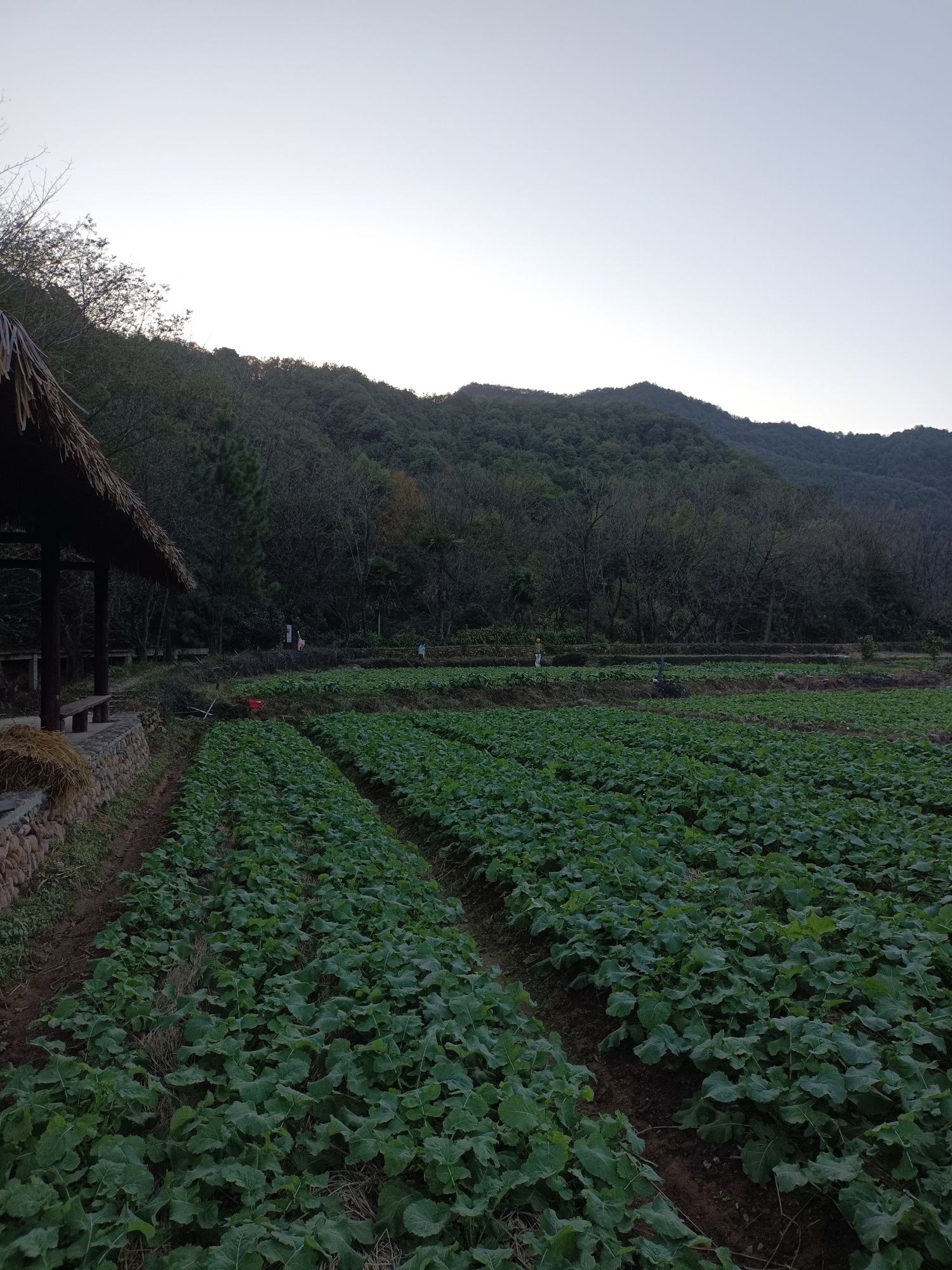 太甲青山景区