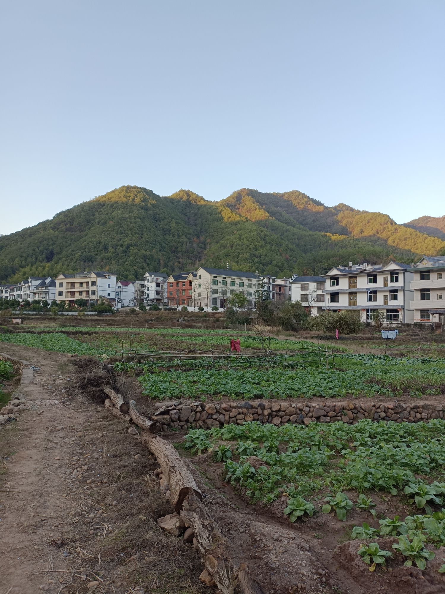 太甲青山景区旅行图片