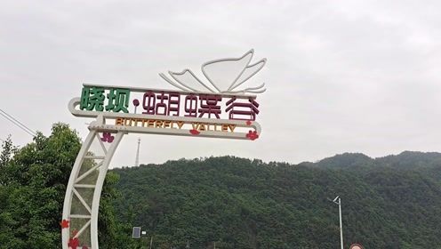 蝴蝶谷