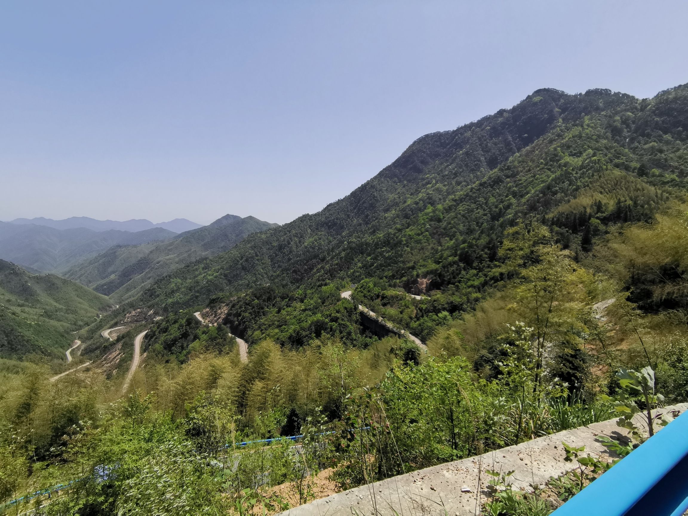 阳际峰自然保护区旅行图片