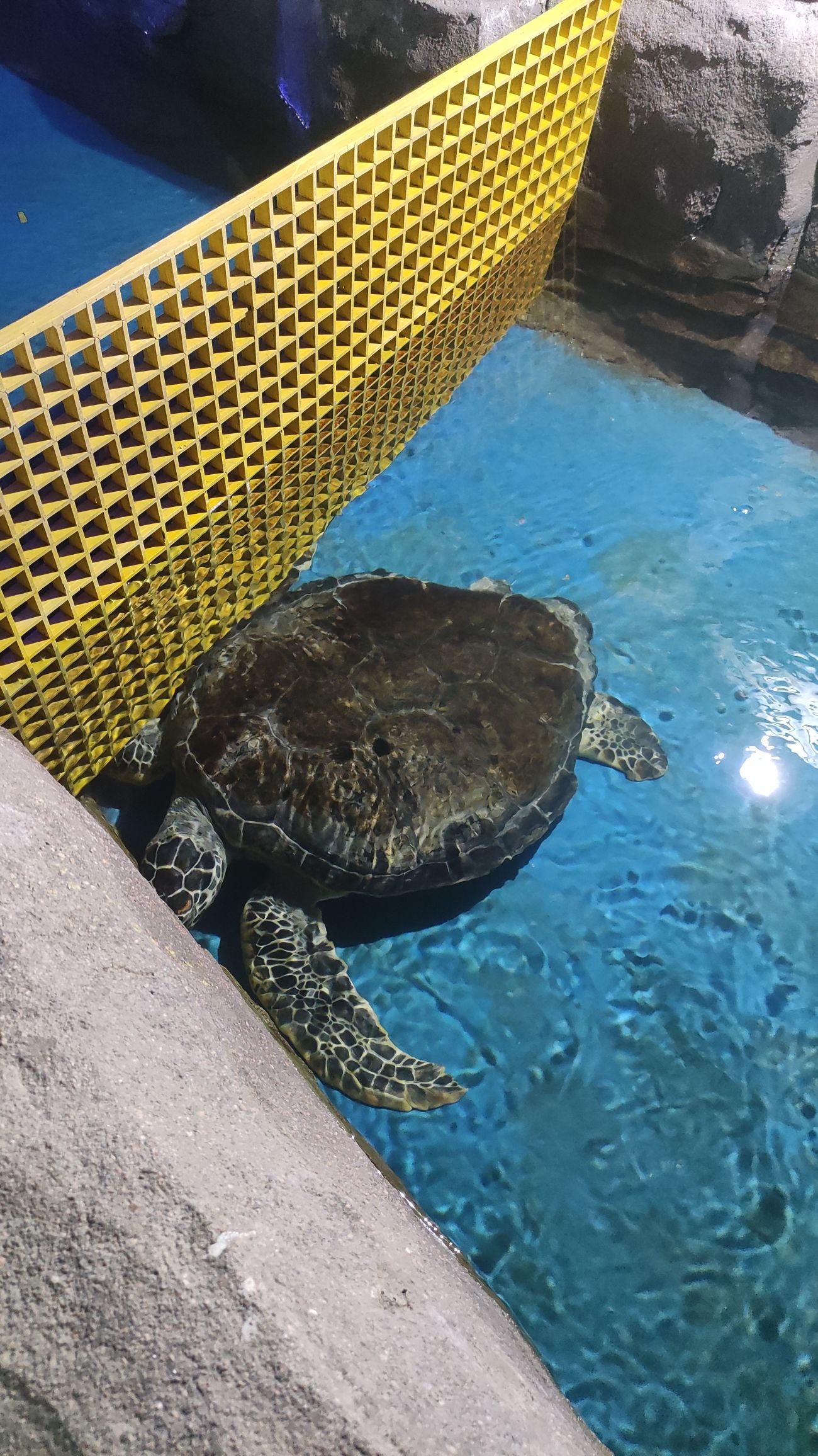 海洋世界
