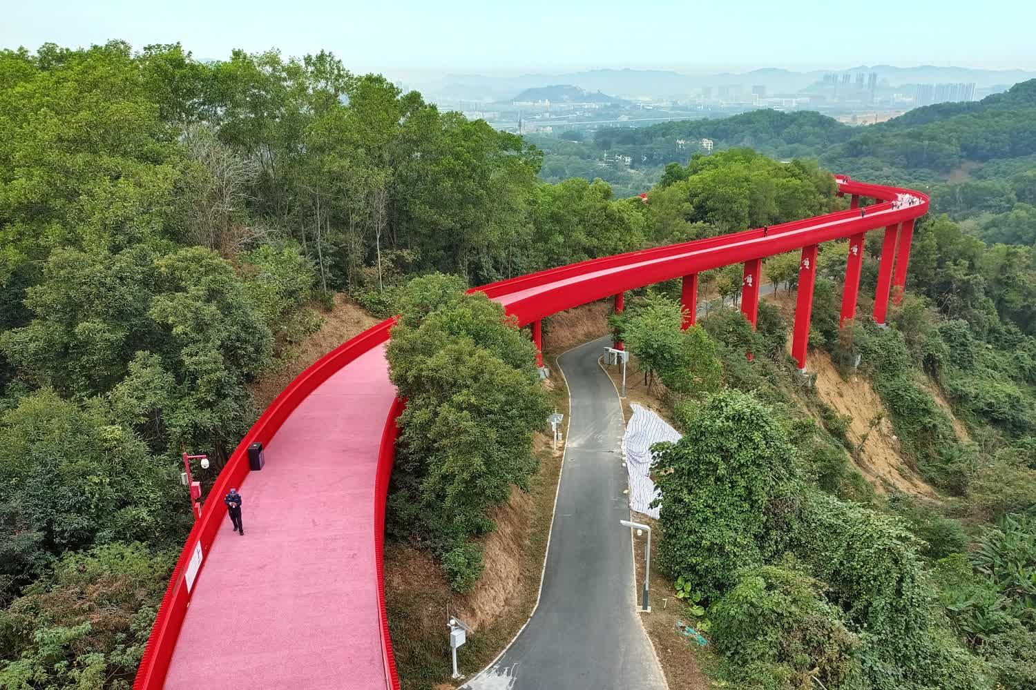 虹桥公园旅行图片