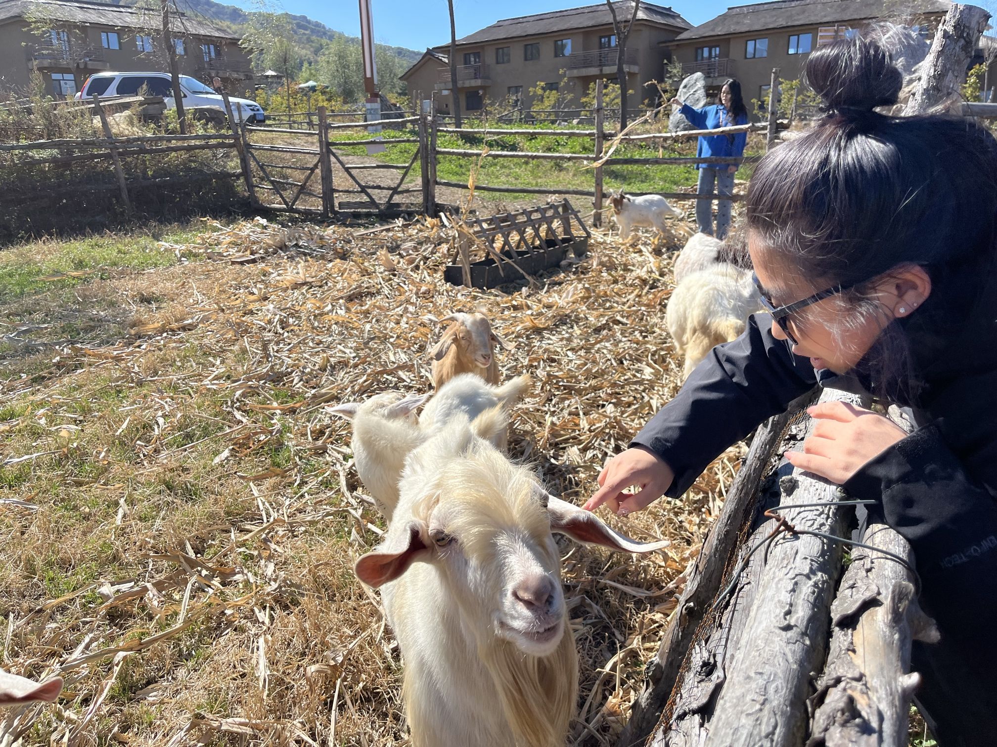 西夹荒生态旅游度假区旅行图片