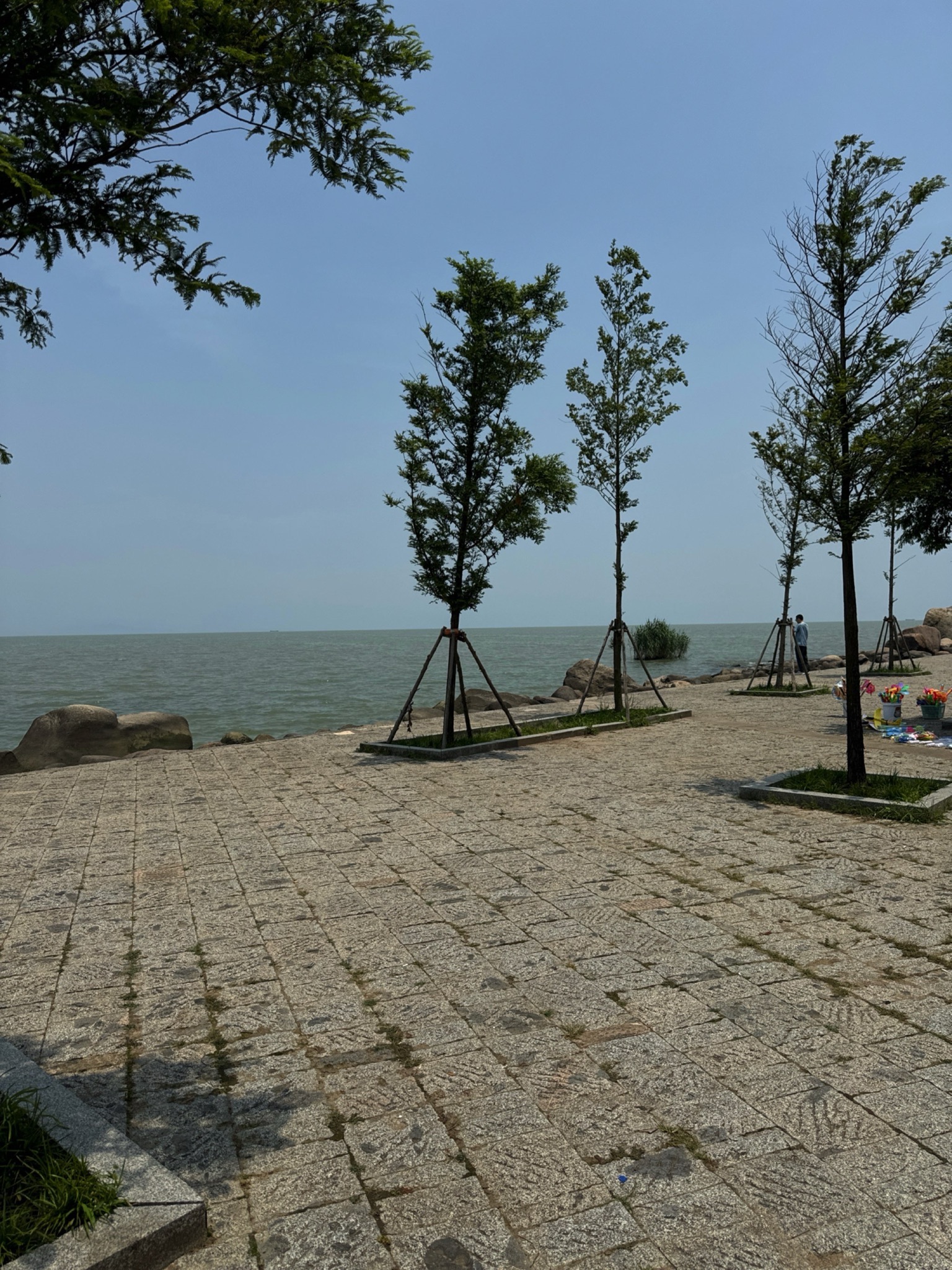 太湖观景台旅行图片