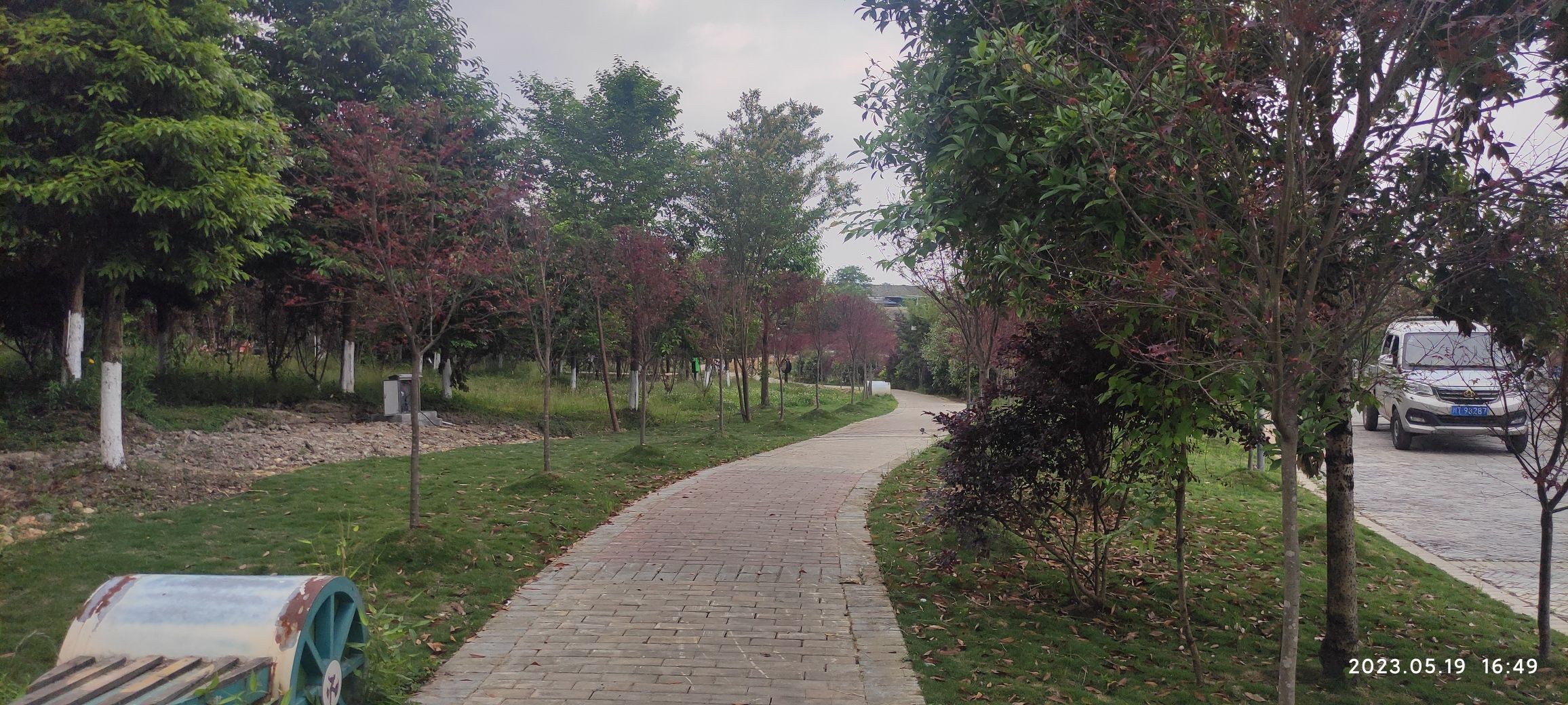 红草旅游新村湿地公园