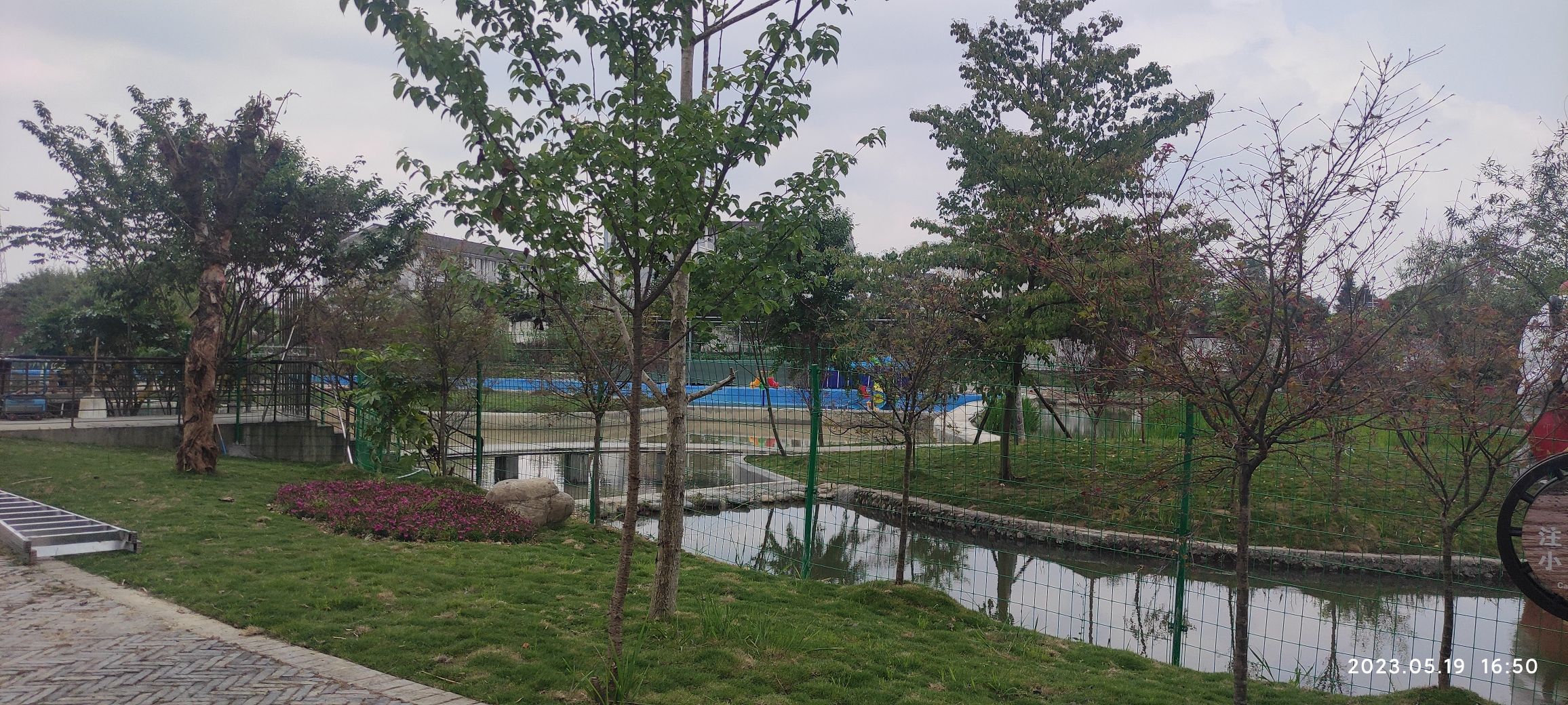 红草旅游新村湿地公园旅行图片