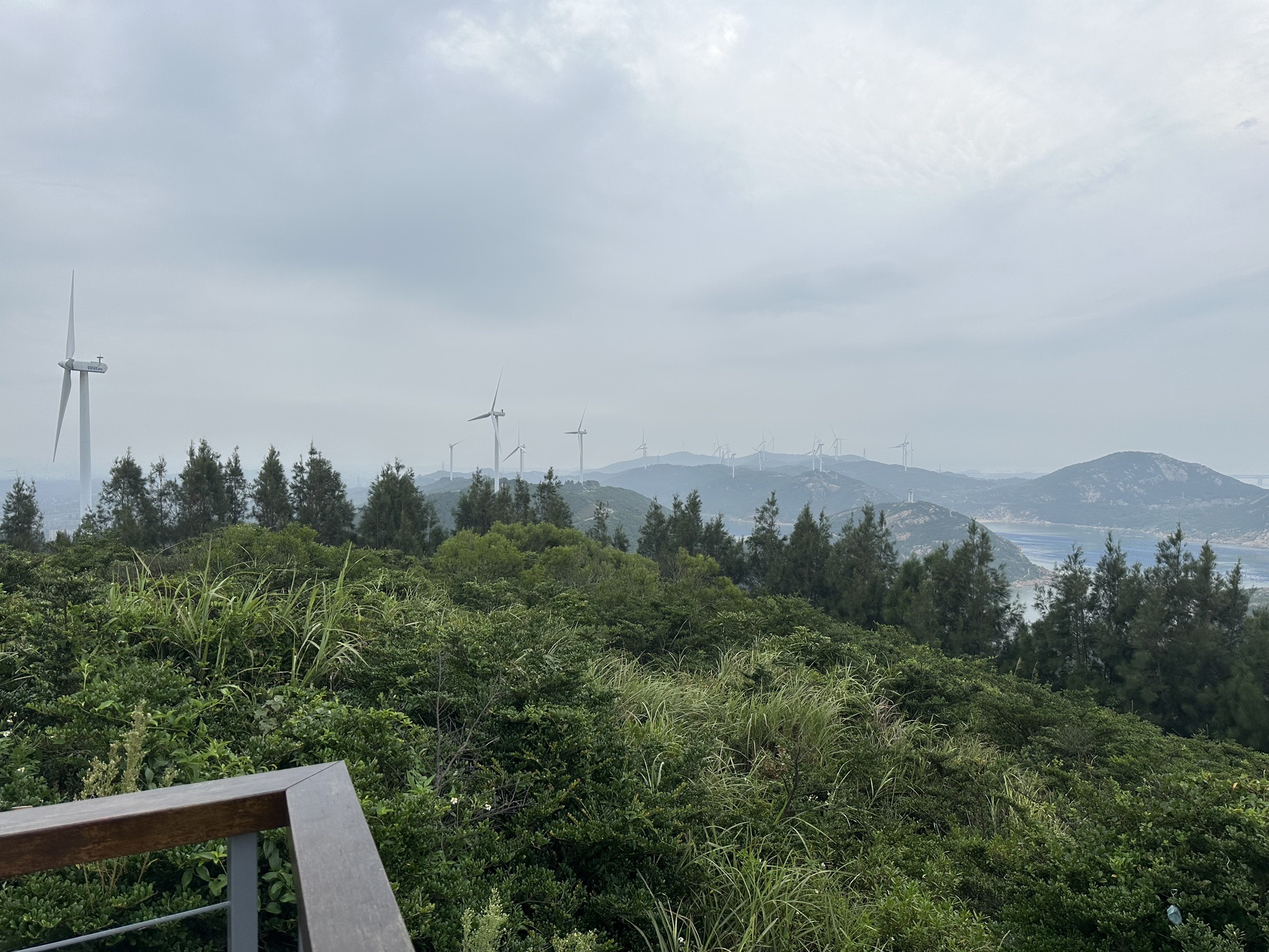 北部生态廊道F5观景台