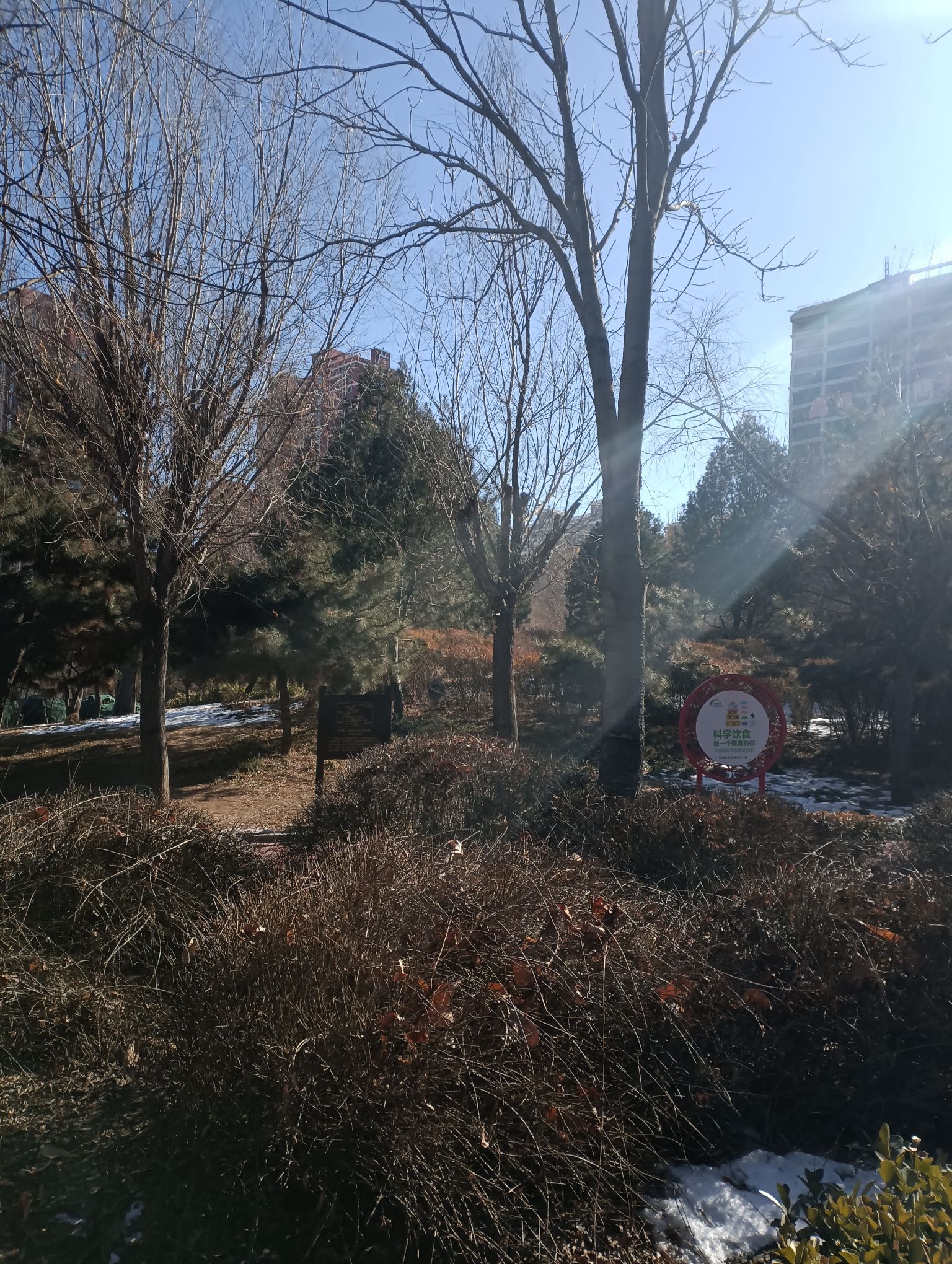 石家庄退役军人主题公园