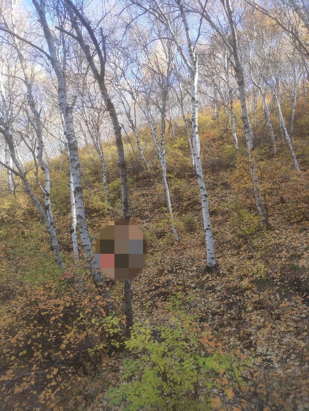 马鞍岭生态旅游景区(暂停开放)