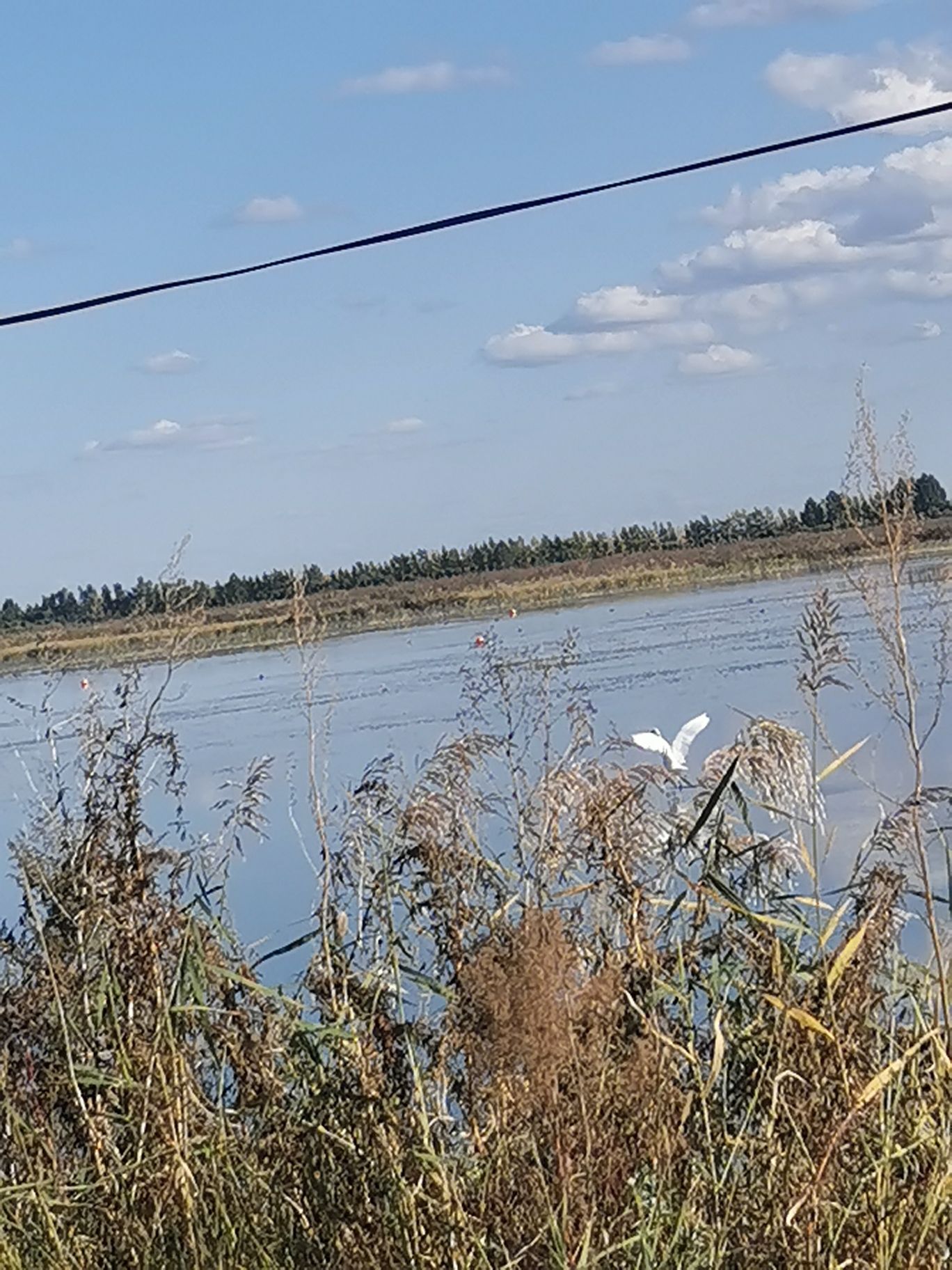 黑龙江七星河湿地