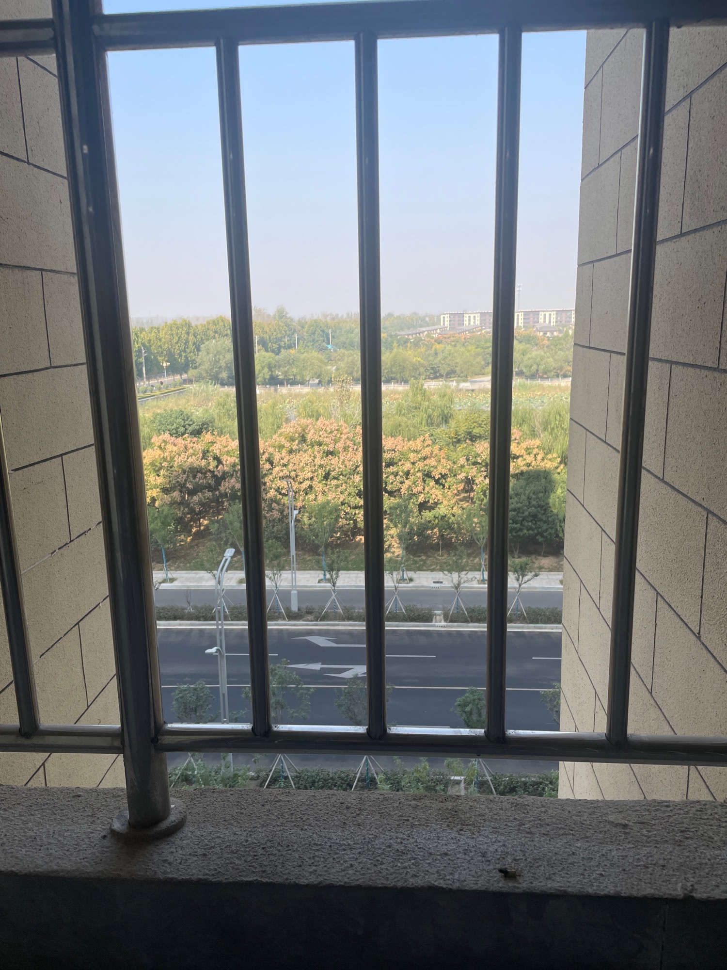 体育公园