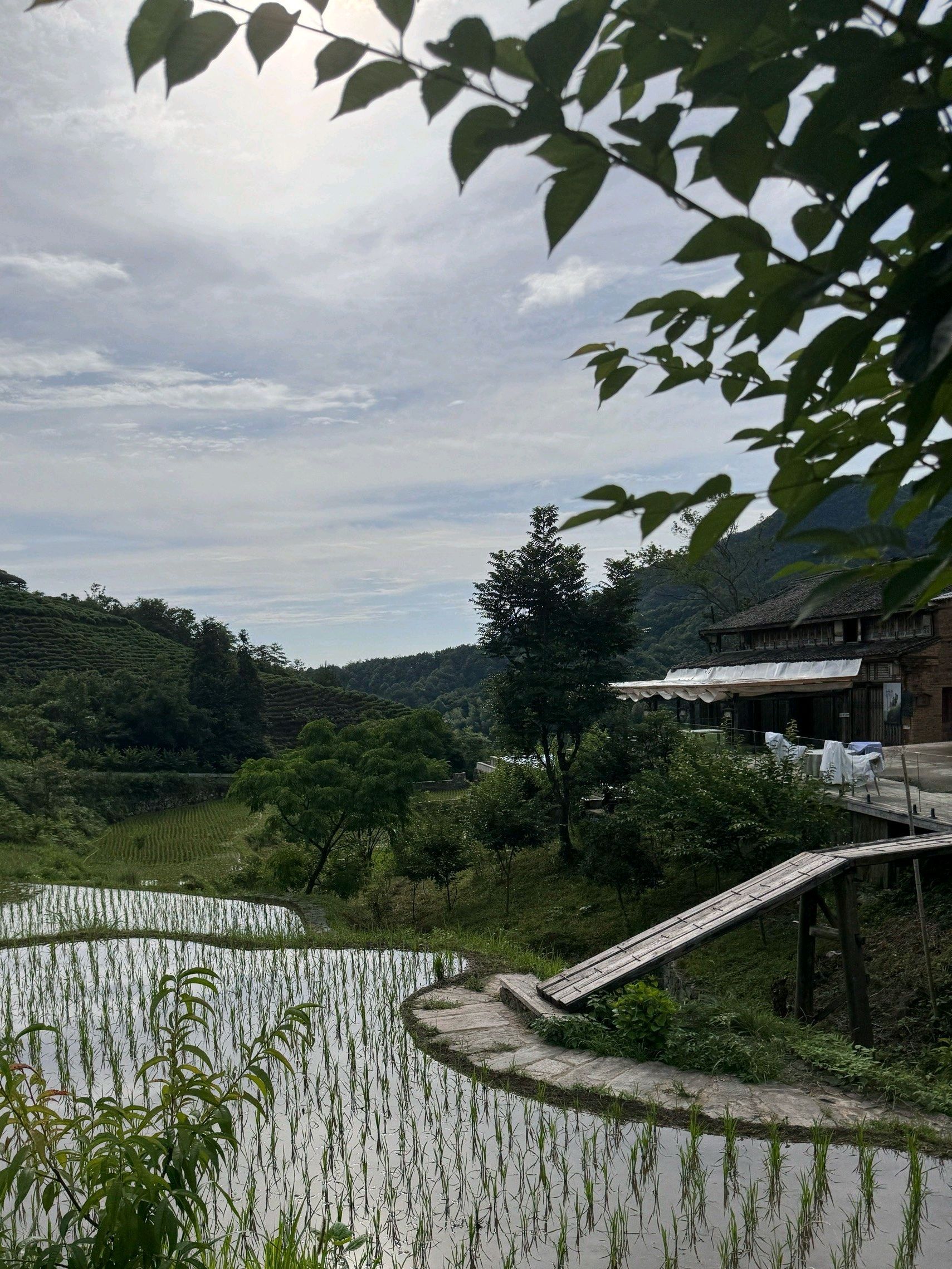 神龙居风景区旅行图片