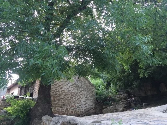 石板河景区旅行图片