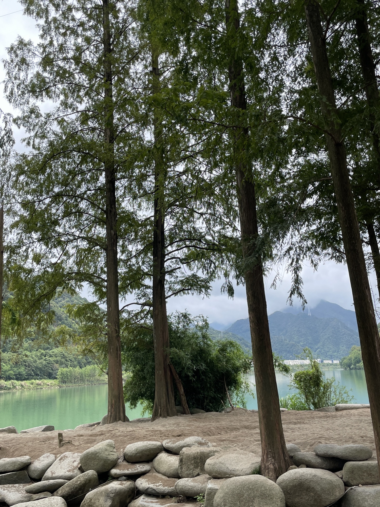 建德水上森林公园旅行图片
