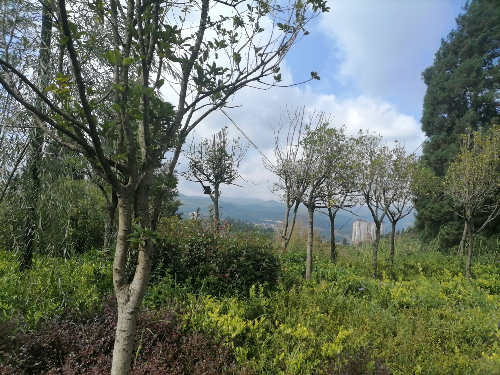 月亮山公园