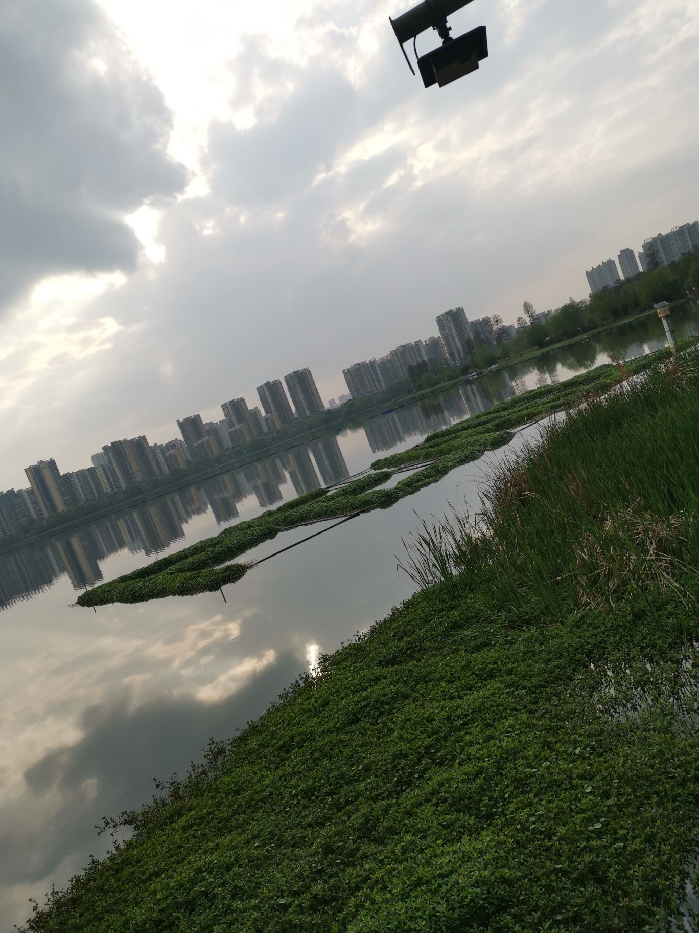 野芷湖公园