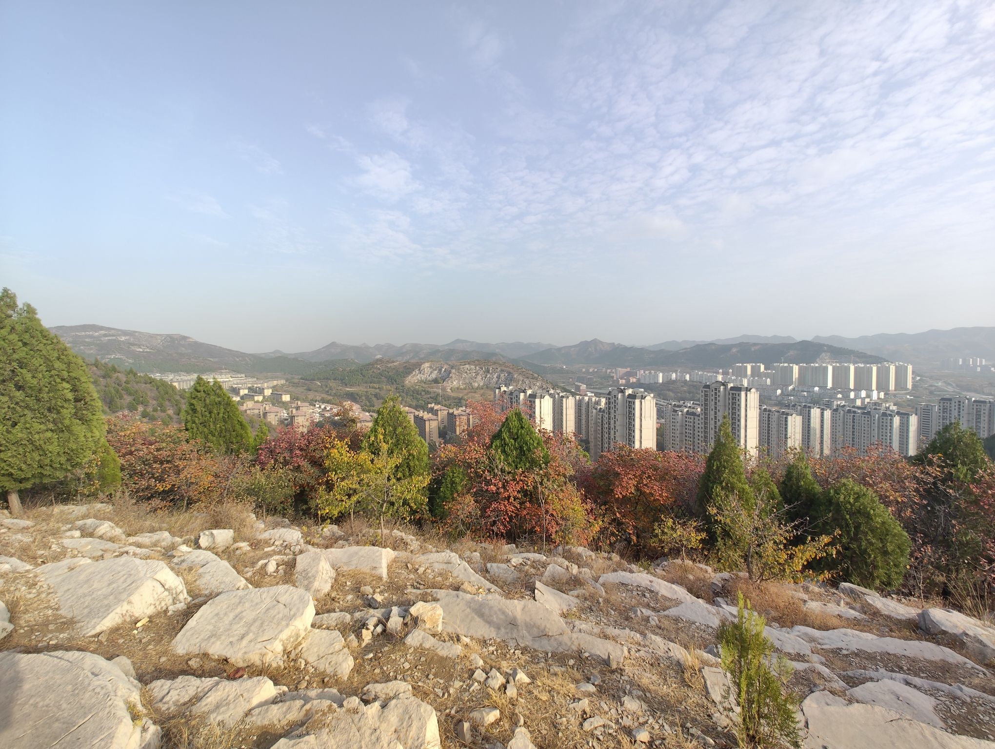 蝎子山
