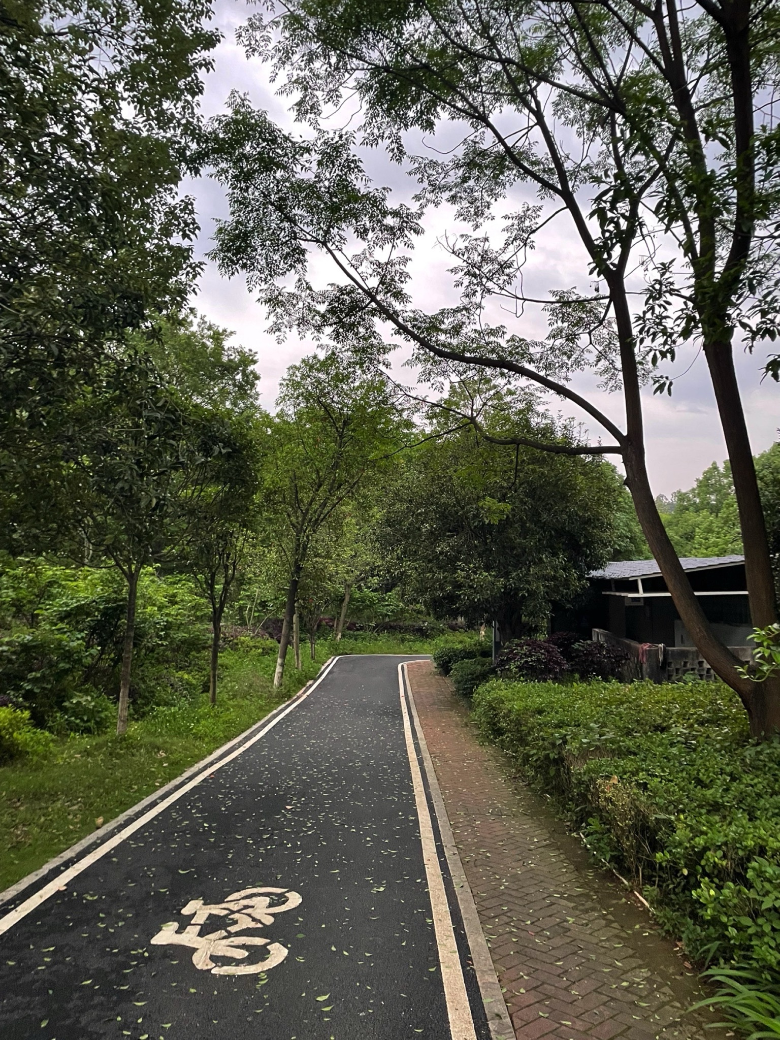 梧塘湖消防文化公园旅行图片